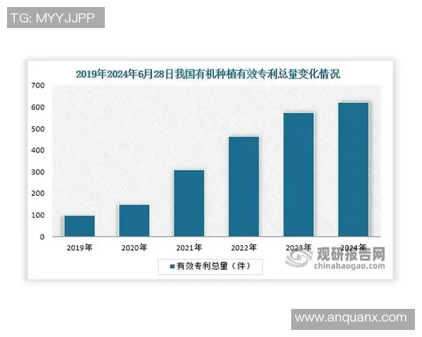 星空娱乐数据目录系统全面解析与应用探索助力行业创新发展