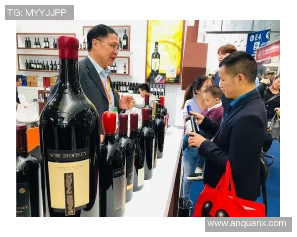 直接面向消费者订阅模式如何颠覆传统电视分销格局与未来发展趋势分析